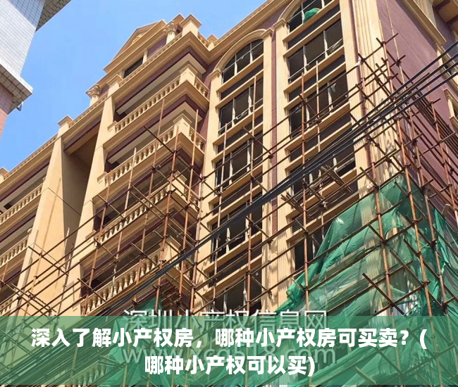 深入了解小产权房，哪种小产权房可买卖？(哪种小产权可以买)
