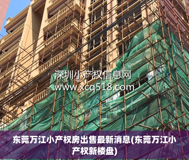 东莞万江小产权房出售最新消息(东莞万江小产权新楼盘)