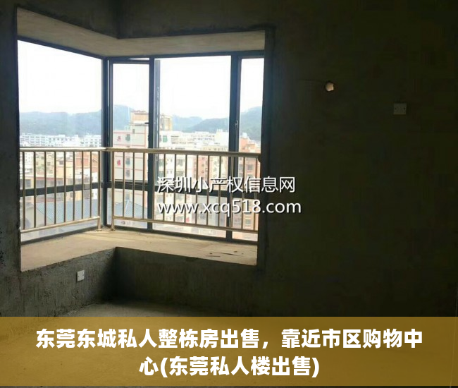 东莞东城私人整栋房出售，靠近市区购物中心(东莞私人楼出售)