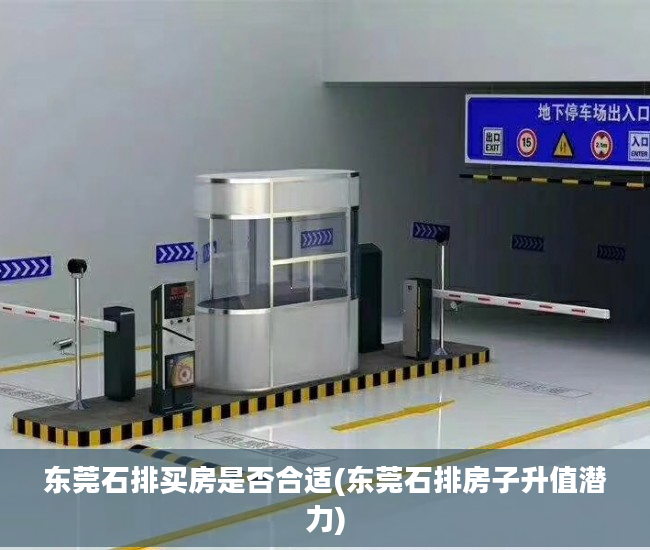 东莞石排买房是否合适(东莞石排房子升值潜力)