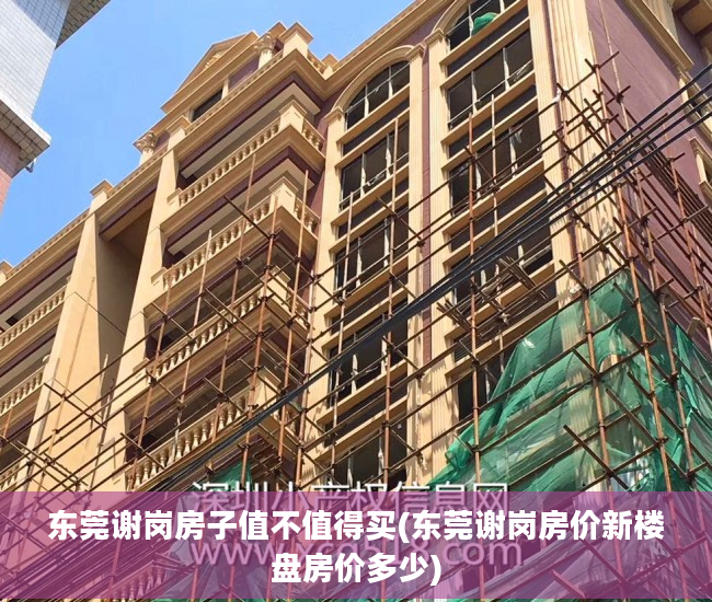 东莞谢岗房子值不值得买(东莞谢岗房价新楼盘房价多少)
