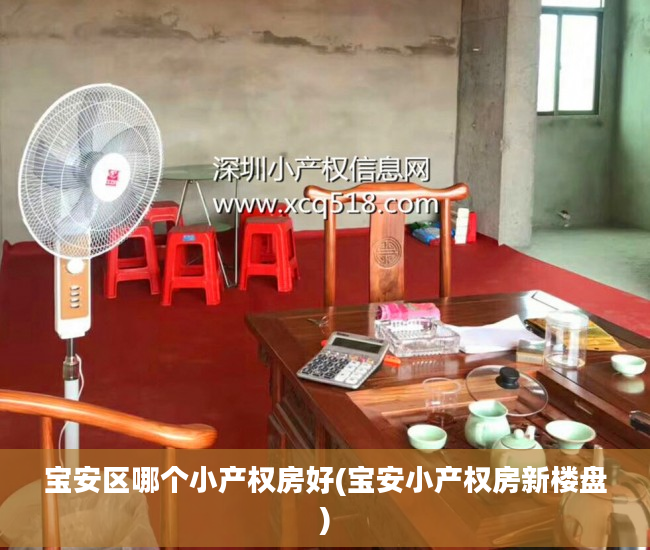 宝安区哪个小产权房好(宝安小产权房新楼盘)