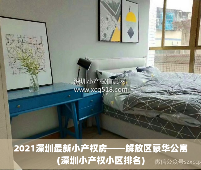 2021深圳最新小产权房——解放区豪华公寓(深圳小产权小区排名)