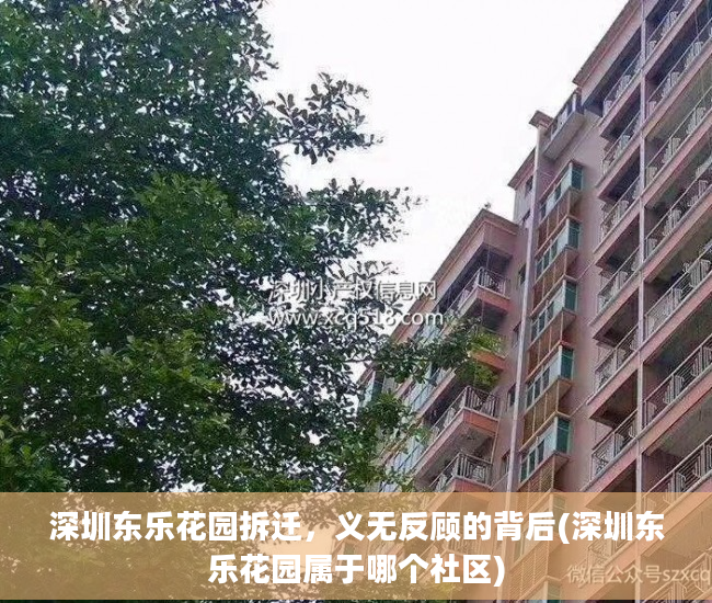 深圳东乐花园拆迁，义无反顾的背后(深圳东乐花园属于哪个社区)