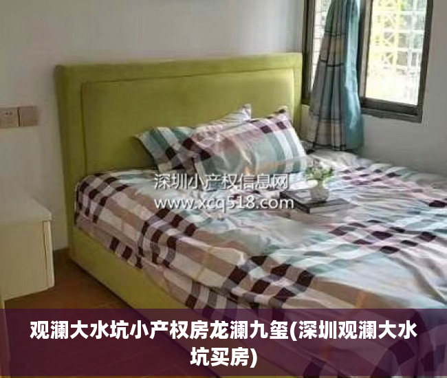 观澜大水坑小产权房龙澜九玺(深圳观澜大水坑买房)