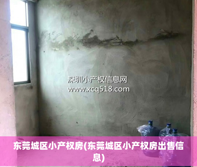 东莞城区小产权房(东莞城区小产权房出售信息)