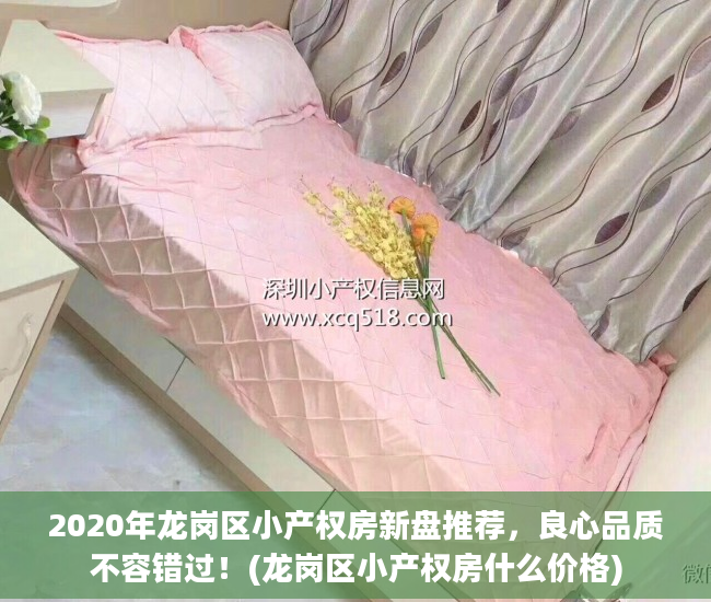 2020年龙岗区小产权房新盘推荐，良心品质不容错过！(龙岗区小产权房什么价格)