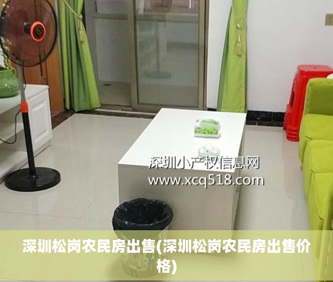深圳松岗农民房出售(深圳松岗农民房出售价格)