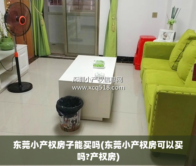 东莞小产权房子能买吗(东莞小产权房可以买吗?产权房)