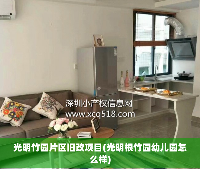 光明竹园片区旧改项目(光明根竹园幼儿园怎么样)