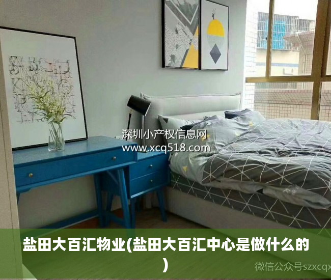 盐田大百汇物业(盐田大百汇中心是做什么的)