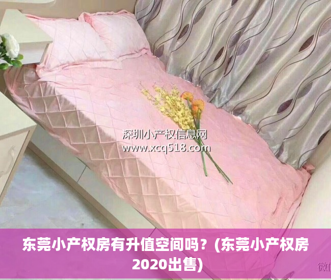 东莞小产权房有升值空间吗？(东莞小产权房 2020出售)