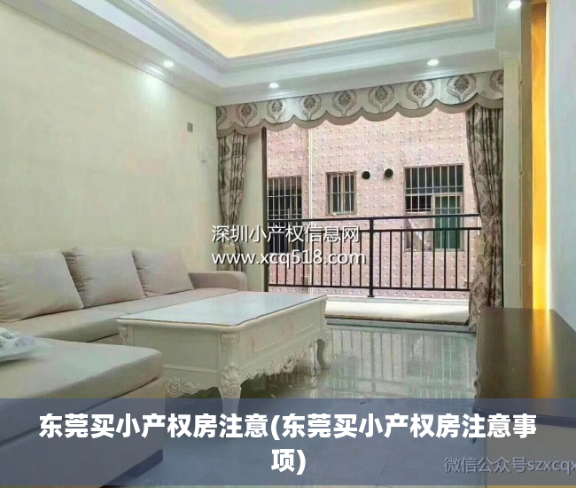 东莞买小产权房注意(东莞买小产权房注意事项)