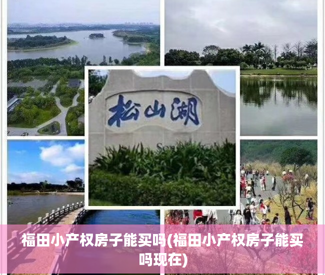 福田小产权房子能买吗(福田小产权房子能买吗现在)