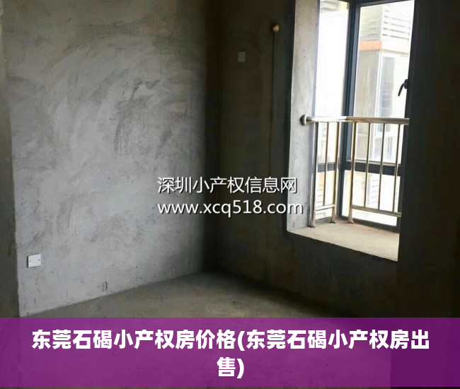 东莞石碣小产权房价格(东莞石碣小产权房出售)