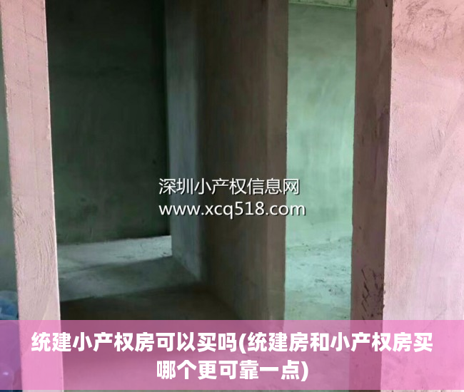 统建小产权房可以买吗(统建房和小产权房买哪个更可靠一点)