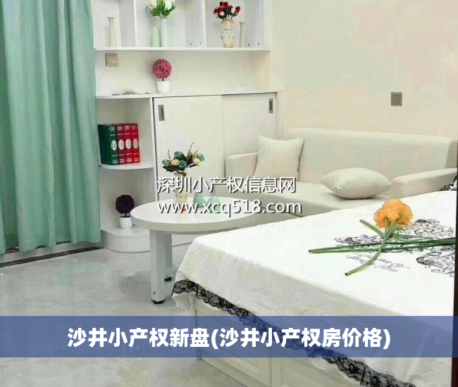 沙井小产权新盘(沙井小产权房价格)