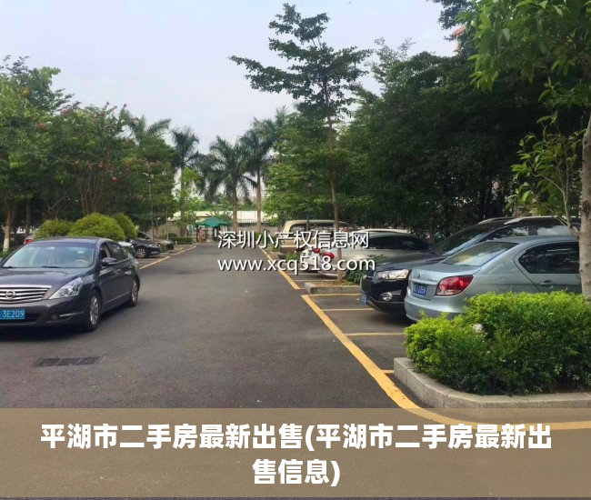 平湖市二手房最新出售(平湖市二手房最新出售信息)