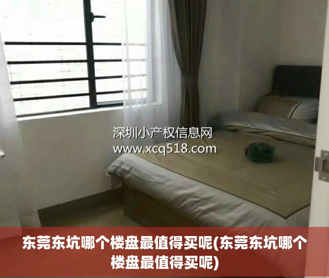 东莞东坑哪个楼盘最值得买呢(东莞东坑哪个楼盘最值得买呢)
