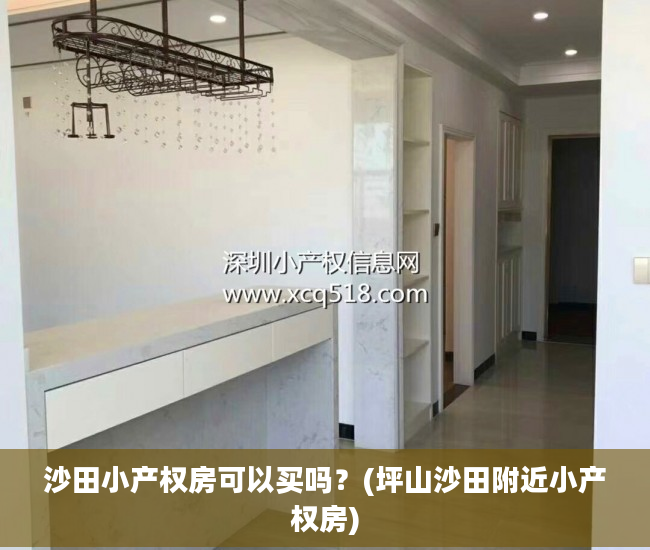 沙田小产权房可以买吗？(坪山沙田附近小产权房)