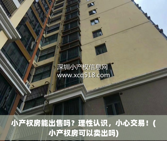 小产权房能出售吗？理性认识，小心交易！(小产权房可以卖出吗)