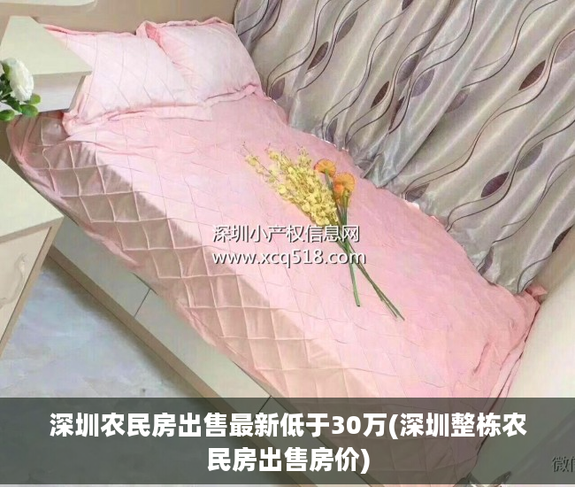 深圳农民房出售最新低于30万(深圳整栋农民房出售房价)