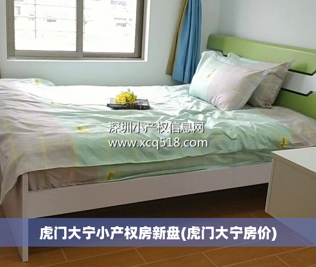 虎门大宁小产权房新盘(虎门大宁房价)