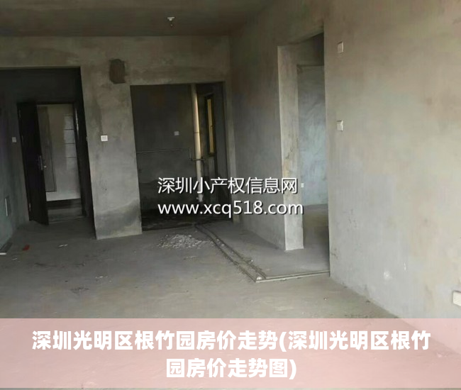 深圳光明区根竹园房价走势(深圳光明区根竹园房价走势图)