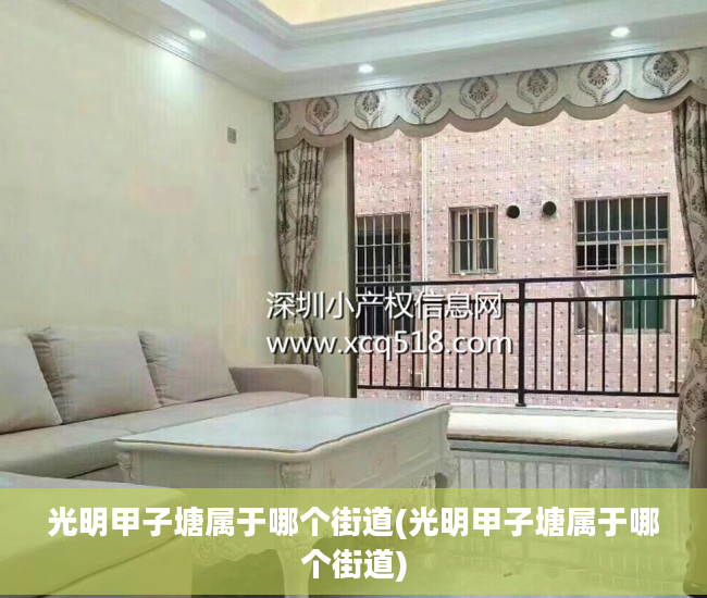 光明甲子塘属于哪个街道(光明甲子塘属于哪个街道)