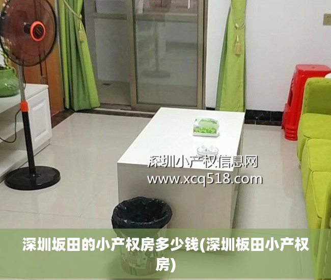 深圳坂田的小产权房多少钱(深圳板田小产权房)
