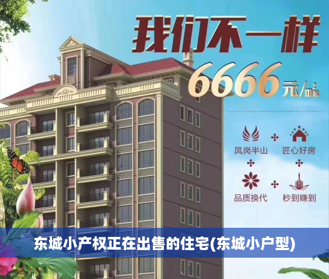 东城小产权正在出售的住宅(东城小户型)