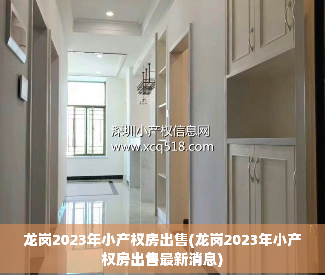 龙岗2023年小产权房出售(龙岗2023年小产权房出售最新消息)