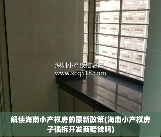 解读海南小产权房的最新政策(海南小产权房子强拆开发商赔钱吗)