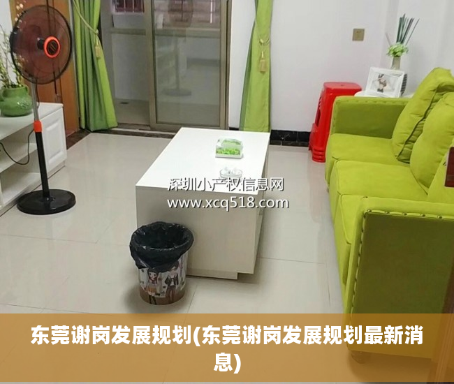 东莞谢岗发展规划(东莞谢岗发展规划最新消息)