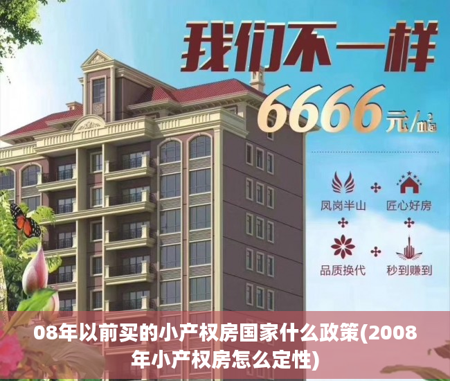 08年以前买的小产权房国家什么政策(2008年小产权房怎么定性)
