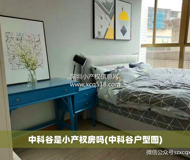 中科谷是小产权房吗(中科谷户型图)