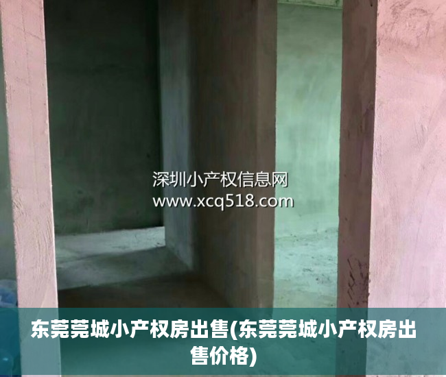 东莞莞城小产权房出售(东莞莞城小产权房出售价格)