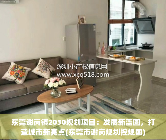 东莞谢岗镇2030规划项目：发展新蓝图，打造城市新亮点(东莞市谢岗规划控规图)