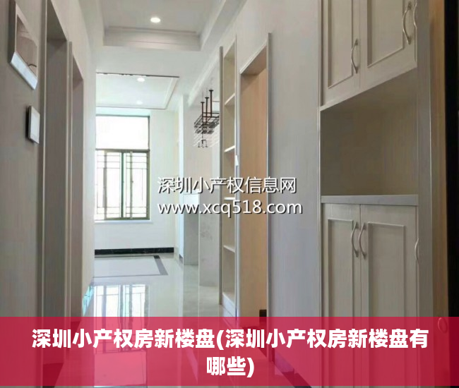 深圳小产权房新楼盘(深圳小产权房新楼盘有哪些)