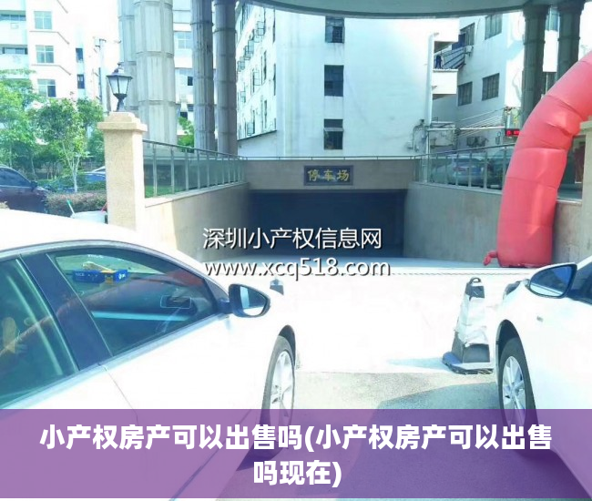 小产权房产可以出售吗(小产权房产可以出售吗现在)