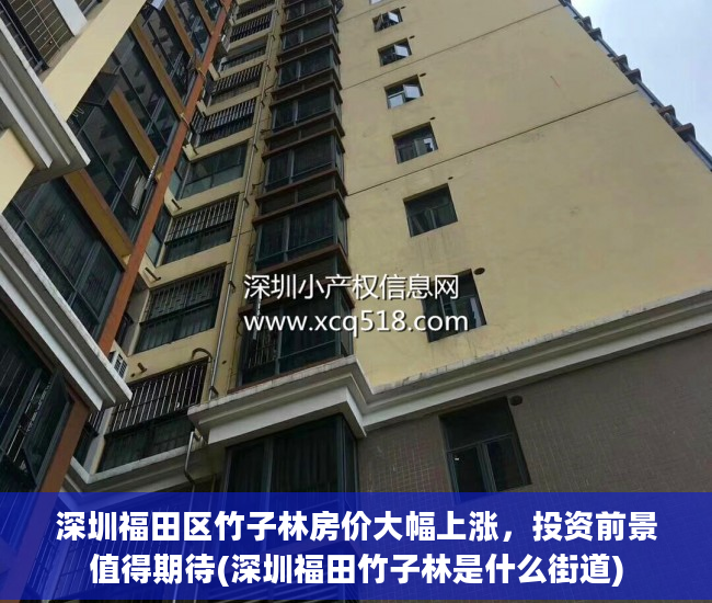 深圳福田区竹子林房价大幅上涨，投资前景值得期待(深圳福田竹子林是什么街道)