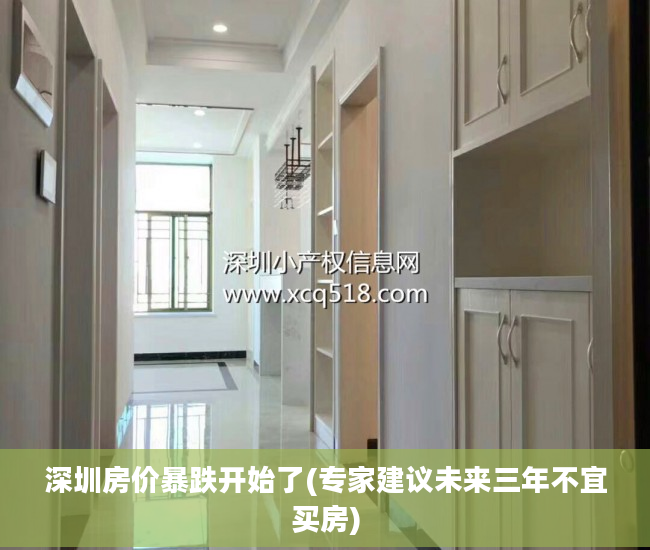 深圳房价暴跌开始了(专家建议未来三年不宜买房)