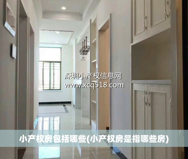 小产权房包括哪些(小产权房是指哪些房)