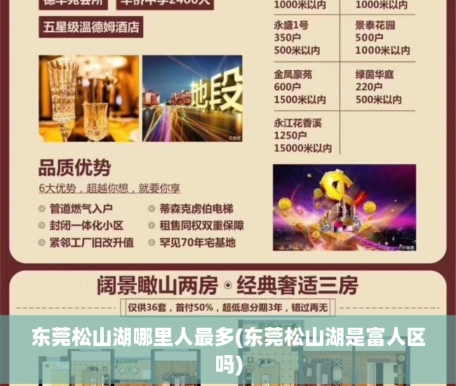 东莞松山湖哪里人最多(东莞松山湖是富人区吗)