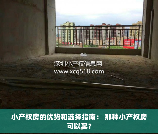小产权房的优势和选择指南： 那种小产权房可以买？