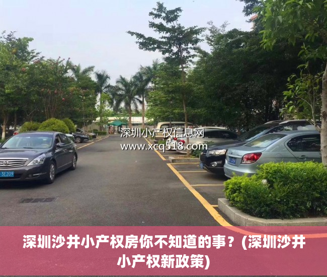 深圳沙井小产权房你不知道的事？(深圳沙井小产权新政策)