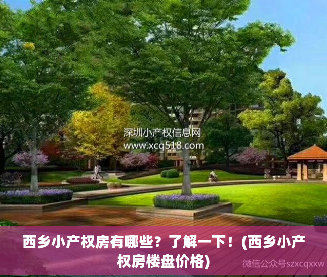 西乡小产权房有哪些？了解一下！(西乡小产权房楼盘价格)