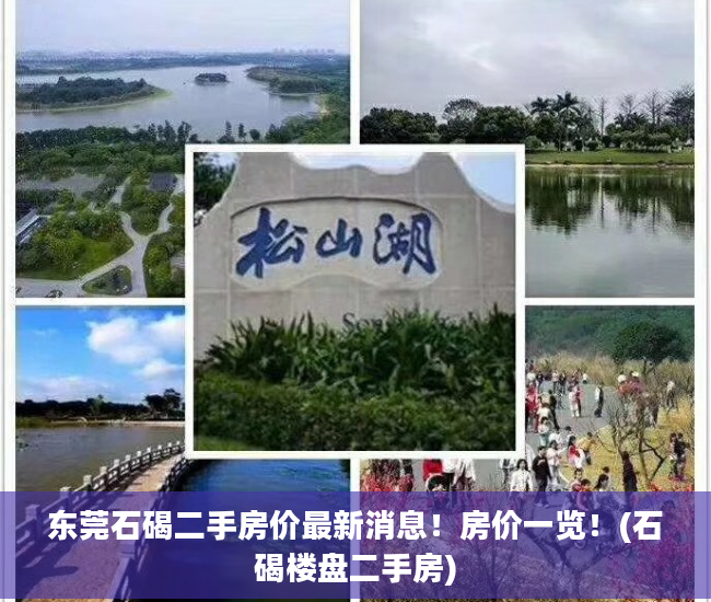 东莞石碣二手房价最新消息！房价一览！(石碣楼盘二手房)