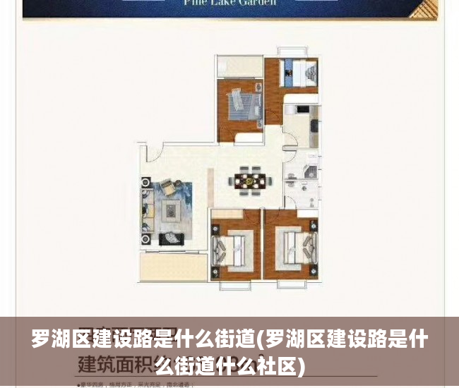 罗湖区建设路是什么街道(罗湖区建设路是什么街道什么社区)