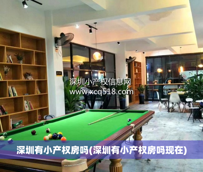 深圳有小产权房吗(深圳有小产权房吗现在)